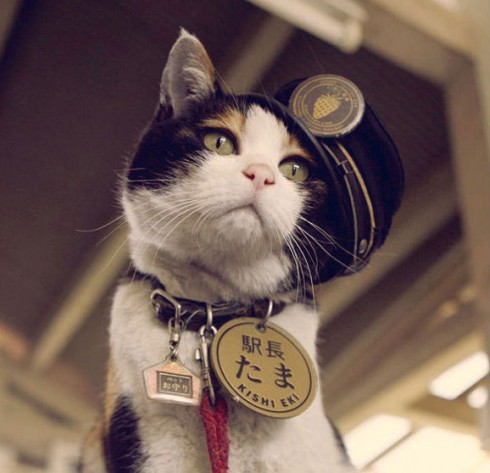 Альманах познавательных фактов обо всём на свете. Часть 6 познавательные факты, обо всём на свете, наука, спорим вы не знали