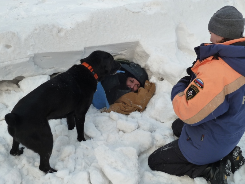Альманах познавательных фактов обо всём на свете. Часть 6 познавательные факты, обо всём на свете, наука, спорим вы не знали