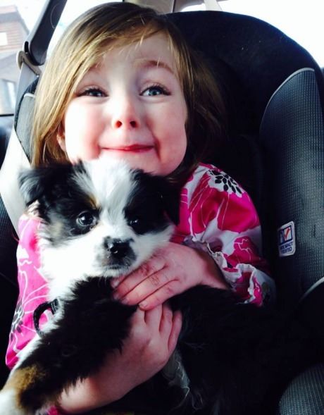 Позитив, юмор, смешные фотографии,прикол