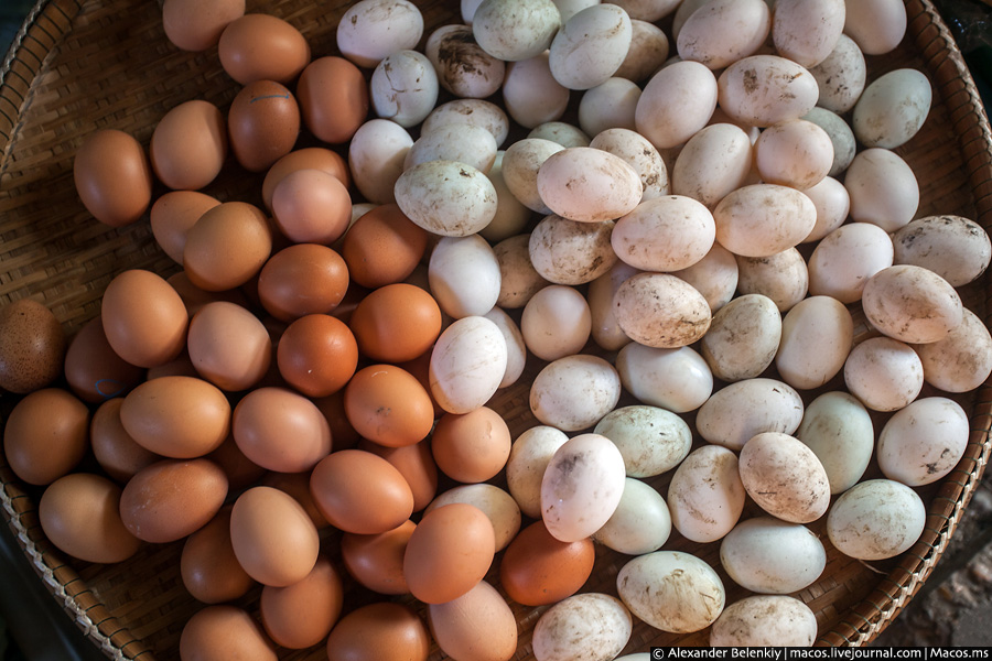 Альманах познавательных фактов обо всём на свете. Часть 6 познавательные факты, обо всём на свете, наука, спорим вы не знали