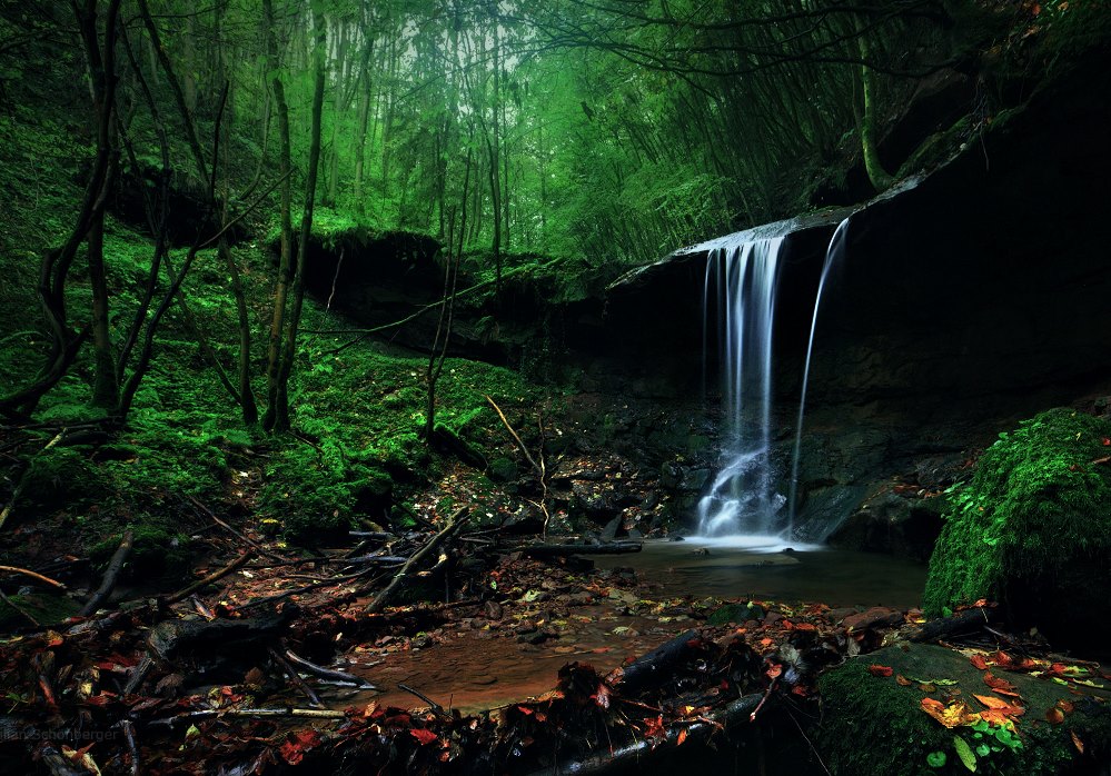 Таинственные призрачные леса, напоминающие сцены из сказок братьев Гримм призрачные леса, таинственные места, фотограф Килиан Шоенбергер, Kilian Schönberger