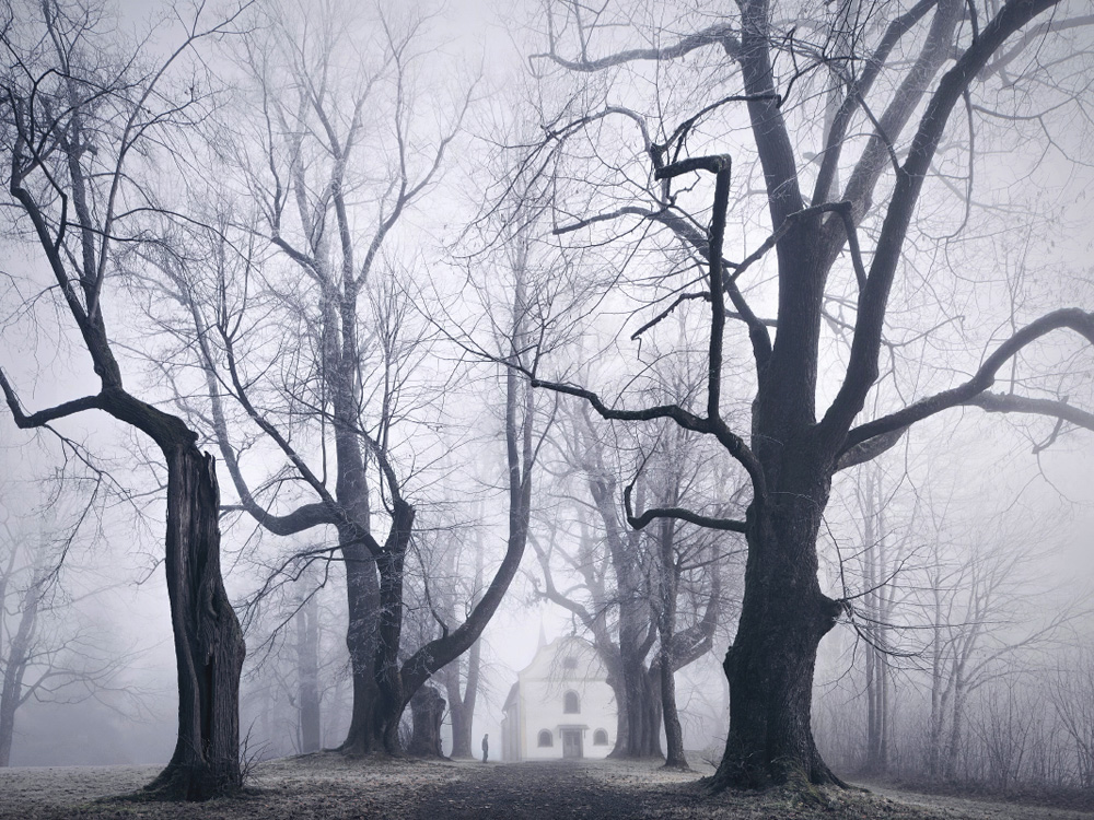 Таинственные призрачные леса, напоминающие сцены из сказок братьев Гримм призрачные леса, таинственные места, фотограф Килиан Шоенбергер, Kilian Schönberger