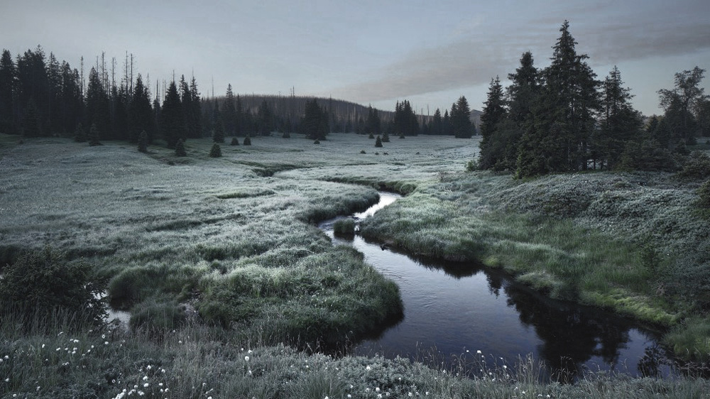 Таинственные призрачные леса, напоминающие сцены из сказок братьев Гримм призрачные леса, таинственные места, фотограф Килиан Шоенбергер, Kilian Schönberger