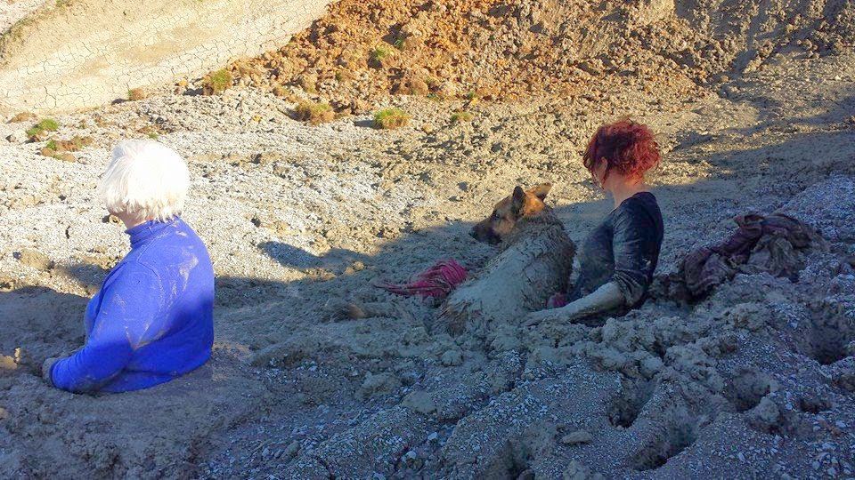 Попытка спасения собаки закончилась спасением самих спасателей Спасение застрявших в грязи, две женщины и собака, утопли в грязи, Херне Бэй