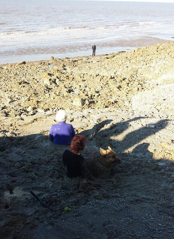 Попытка спасения собаки закончилась спасением самих спасателей Спасение застрявших в грязи, две женщины и собака, утопли в грязи, Херне Бэй