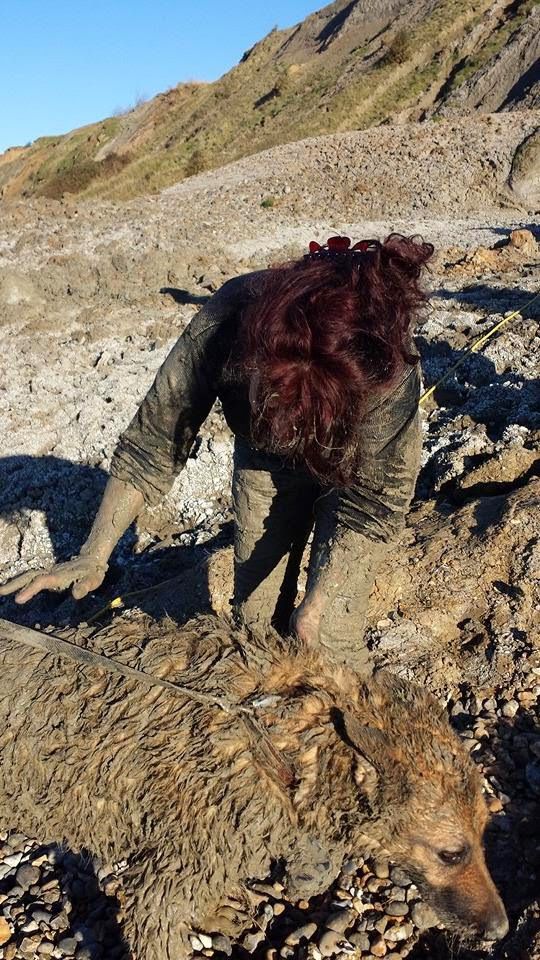 Попытка спасения собаки закончилась спасением самих спасателей Спасение застрявших в грязи, две женщины и собака, утопли в грязи, Херне Бэй