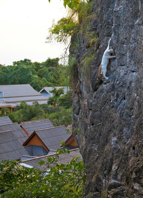 нет ничего невозможного, невозможное возможно, люди делают невозможное