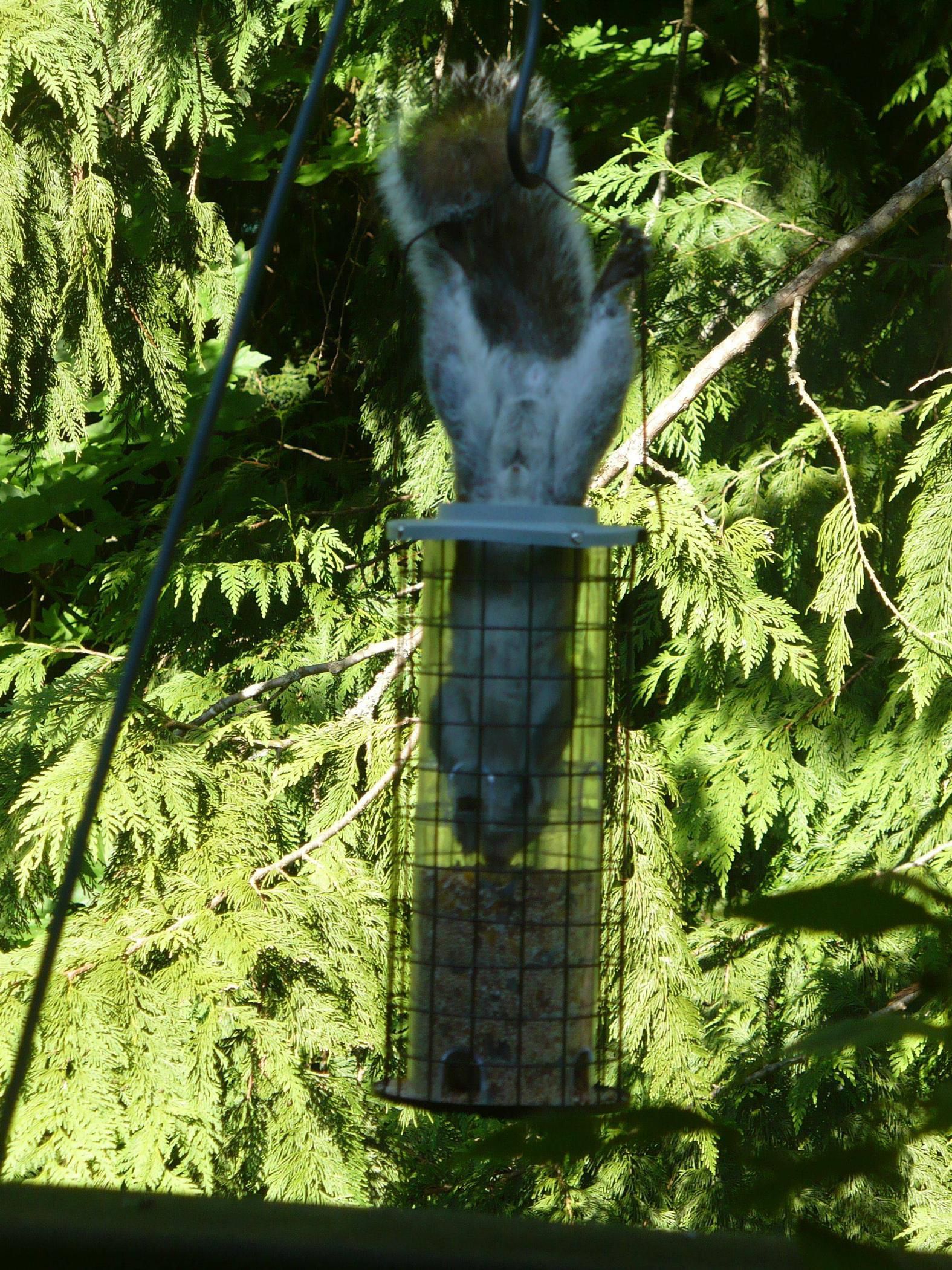 нет ничего невозможного, невозможное возможно, люди делают невозможное