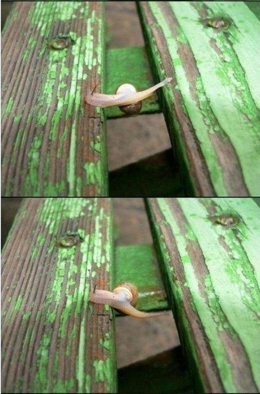 нет ничего невозможного, невозможное возможно, люди делают невозможное