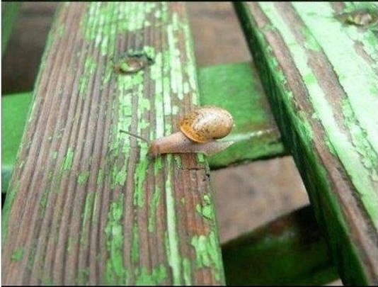 нет ничего невозможного, невозможное возможно, люди делают невозможное