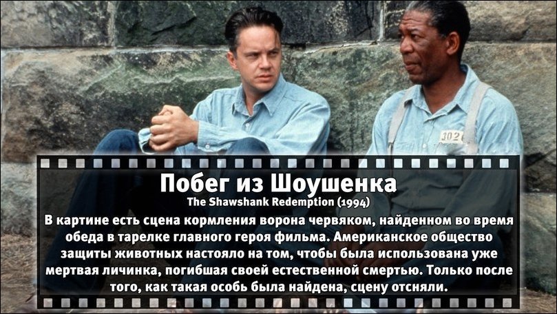 Познавательные факты о всемирно известных фильмах. Часть 3 факты о всемирно известных фильмах, факты о фильмах