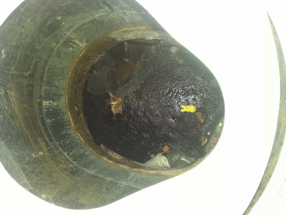 пасха 13-ое, пасхальная пила, зефирные зайцы отец заложники, зефир зайцы мучил убивал папа, сын домой на пасху