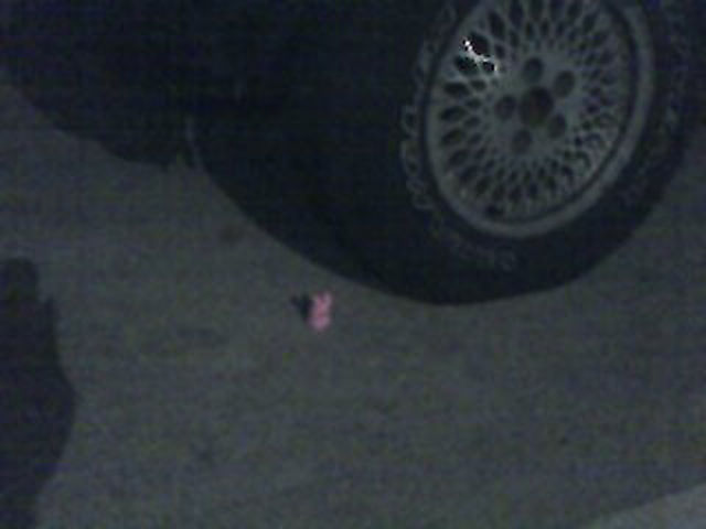 пасха 13-ое, пасхальная пила, зефирные зайцы отец заложники, зефир зайцы мучил убивал папа, сын домой на пасху