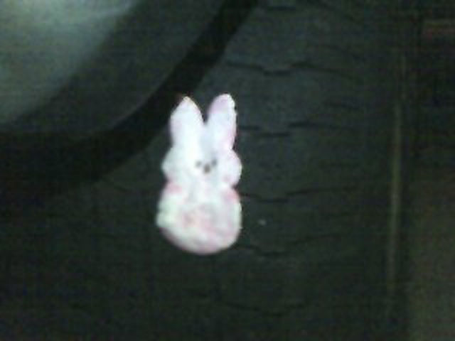 пасха 13-ое, пасхальная пила, зефирные зайцы отец заложники, зефир зайцы мучил убивал папа, сын домой на пасху