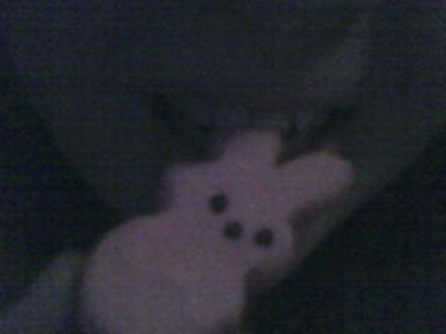 пасха 13-ое, пасхальная пила, зефирные зайцы отец заложники, зефир зайцы мучил убивал папа, сын домой на пасху