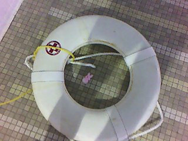 пасха 13-ое, пасхальная пила, зефирные зайцы отец заложники, зефир зайцы мучил убивал папа, сын домой на пасху