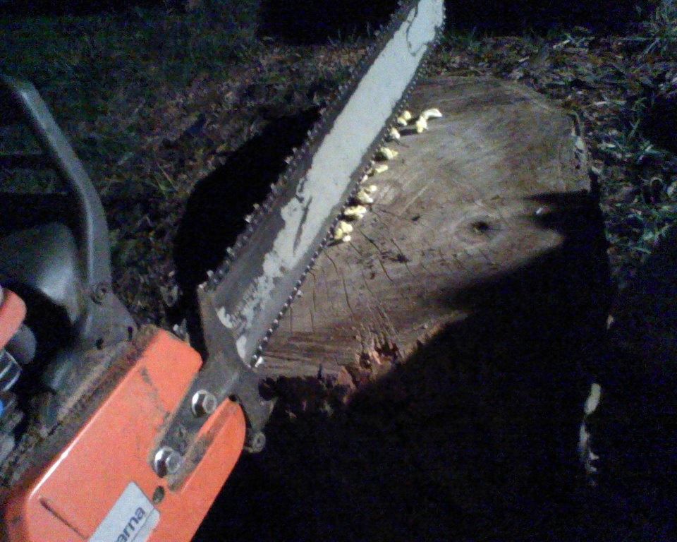 пасха 13-ое, пасхальная пила, зефирные зайцы отец заложники, зефир зайцы мучил убивал папа, сын домой на пасху