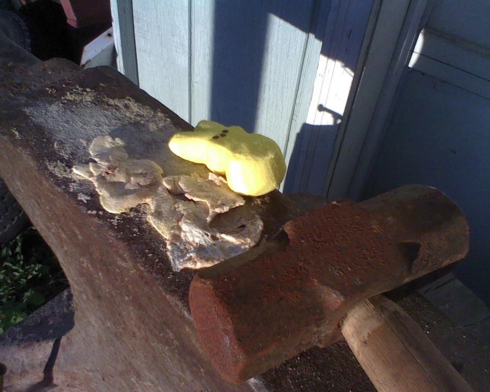 пасха 13-ое, пасхальная пила, зефирные зайцы отец заложники, зефир зайцы мучил убивал папа, сын домой на пасху