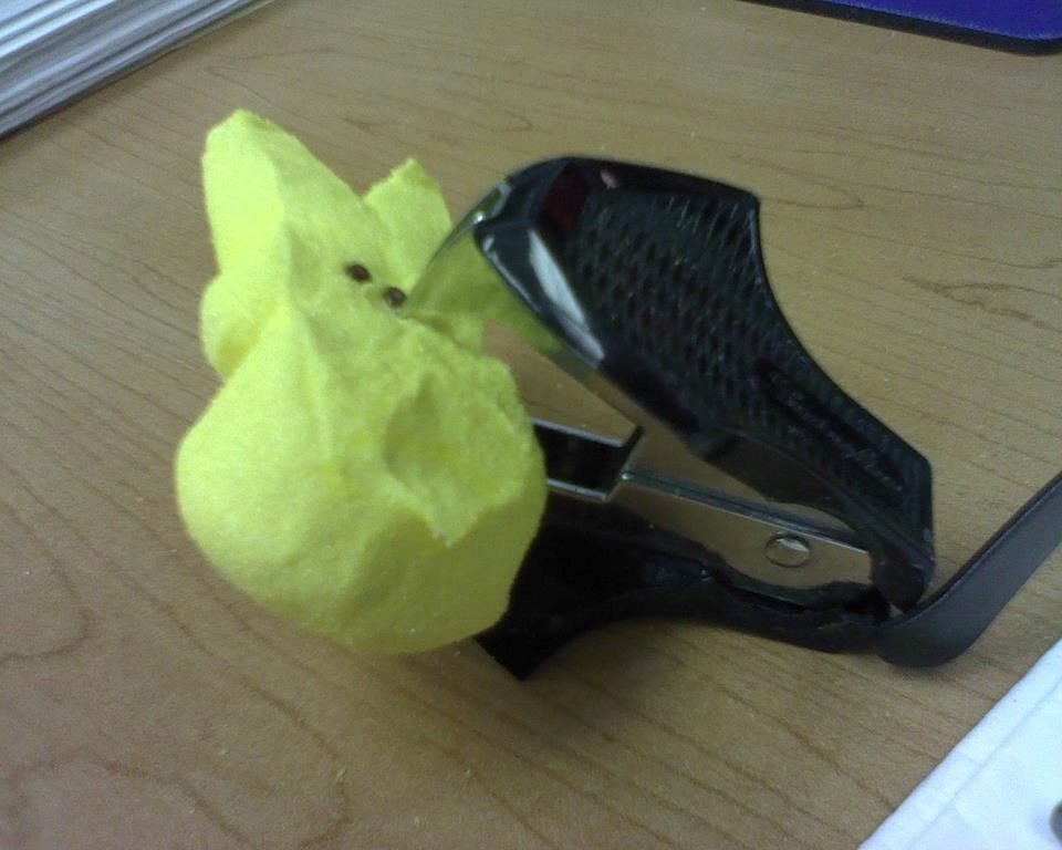 пасха 13-ое, пасхальная пила, зефирные зайцы отец заложники, зефир зайцы мучил убивал папа, сын домой на пасху