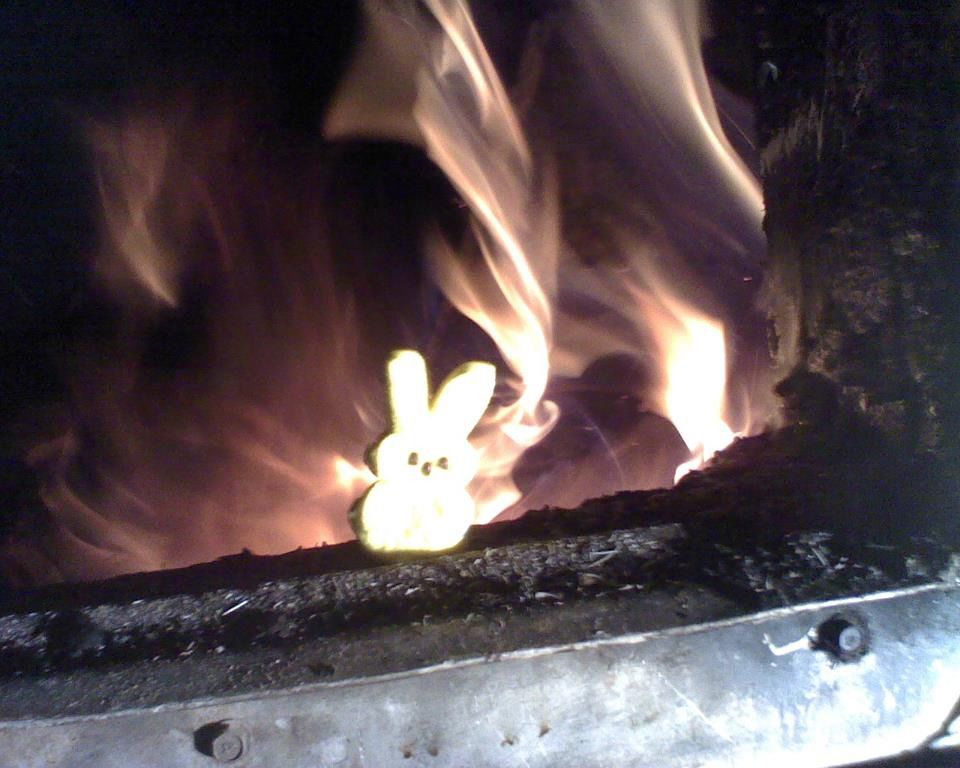 пасха 13-ое, пасхальная пила, зефирные зайцы отец заложники, зефир зайцы мучил убивал папа, сын домой на пасху