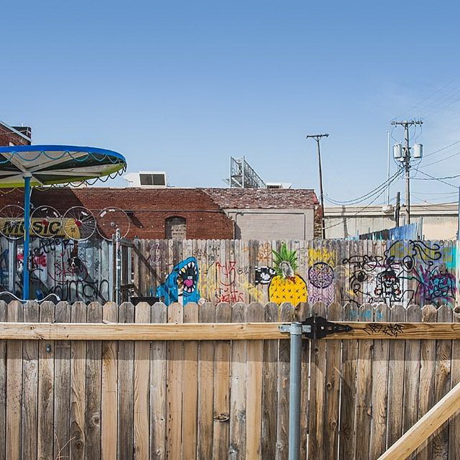 найдите Момо, пес играть в прятки, незаметный пес, Эндрю Кнаппа, Andrew Knapp