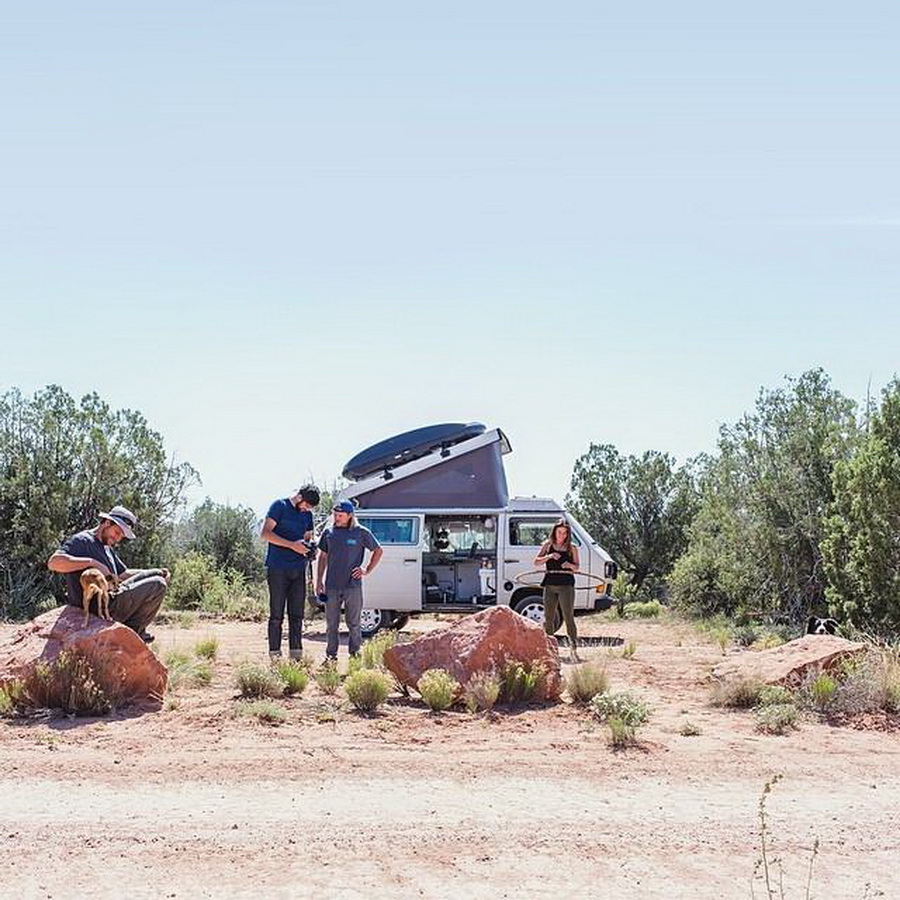 найдите Момо, пес играть в прятки, незаметный пес, Эндрю Кнаппа, Andrew Knapp