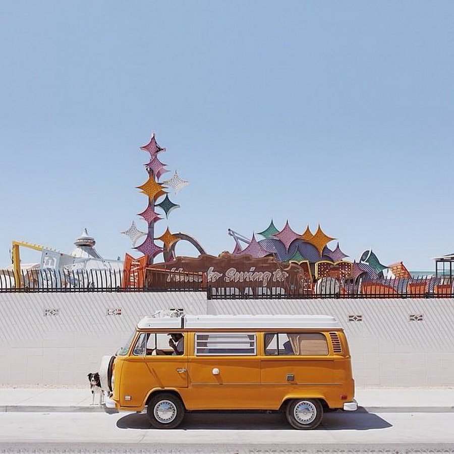 найдите Момо, пес играть в прятки, незаметный пес, Эндрю Кнаппа, Andrew Knapp