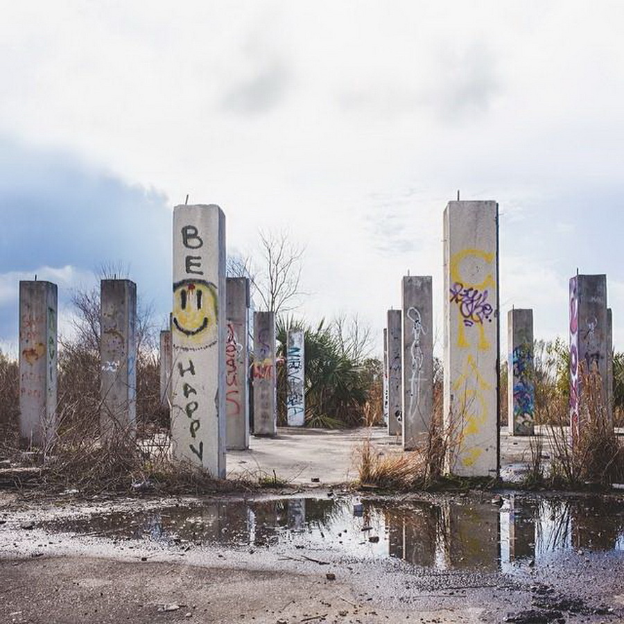 найдите Момо, пес играть в прятки, незаметный пес, Эндрю Кнаппа, Andrew Knapp