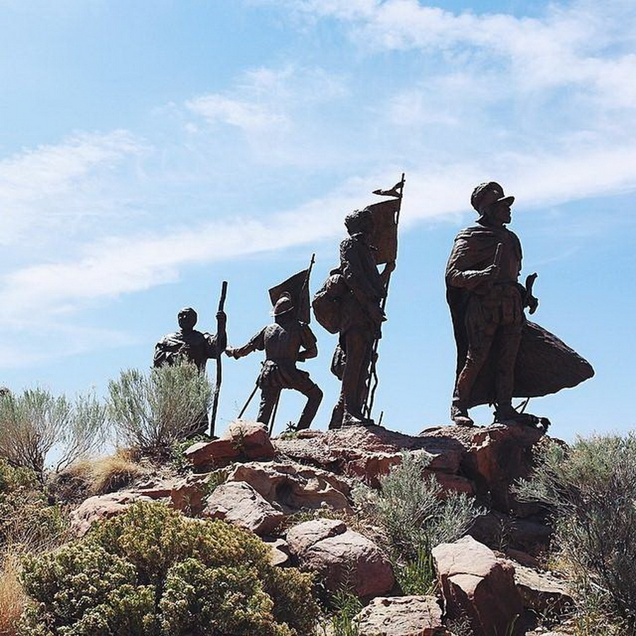 найдите Момо, пес играть в прятки, незаметный пес, Эндрю Кнаппа, Andrew Knapp