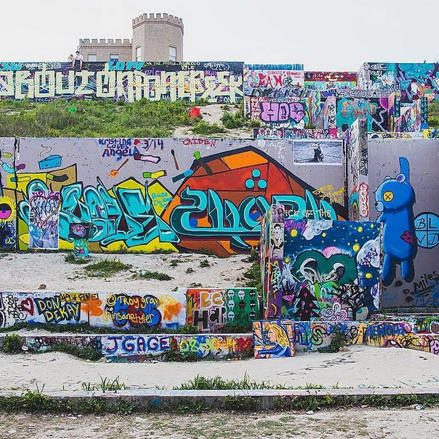 найдите Момо, пес играть в прятки, незаметный пес, Эндрю Кнаппа, Andrew Knapp