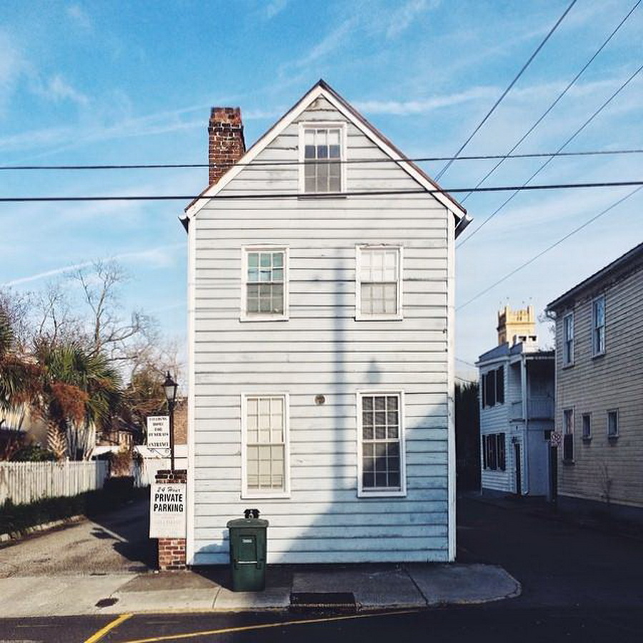 найдите Момо, пес играть в прятки, незаметный пес, Эндрю Кнаппа, Andrew Knapp