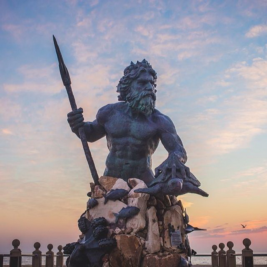 найдите Момо, пес играть в прятки, незаметный пес, Эндрю Кнаппа, Andrew Knapp