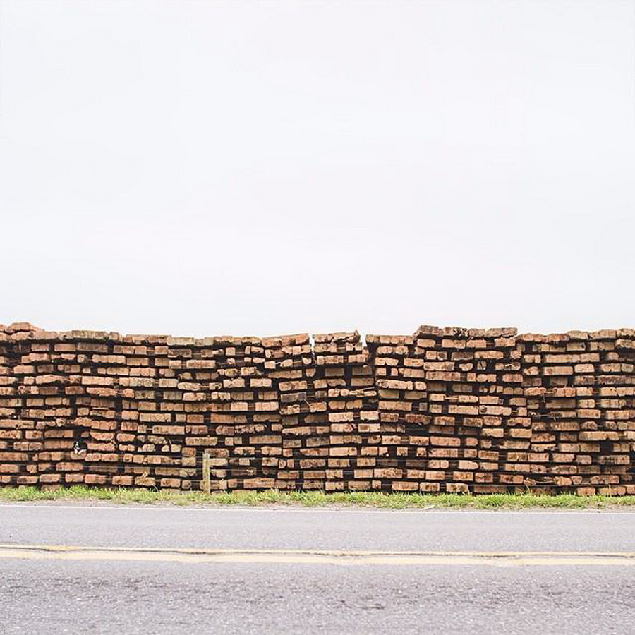 найдите Момо, пес играть в прятки, незаметный пес, Эндрю Кнаппа, Andrew Knapp