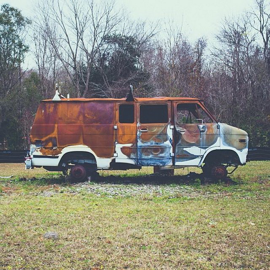 найдите Момо, пес играть в прятки, незаметный пес, Эндрю Кнаппа, Andrew Knapp