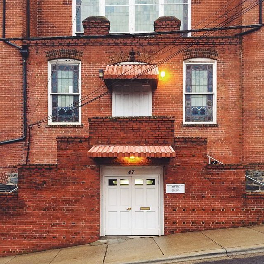 найдите Момо, пес играть в прятки, незаметный пес, Эндрю Кнаппа, Andrew Knapp