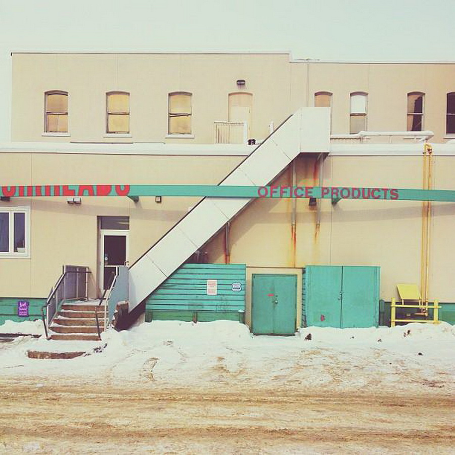 найдите Момо, пес играть в прятки, незаметный пес, Эндрю Кнаппа, Andrew Knapp