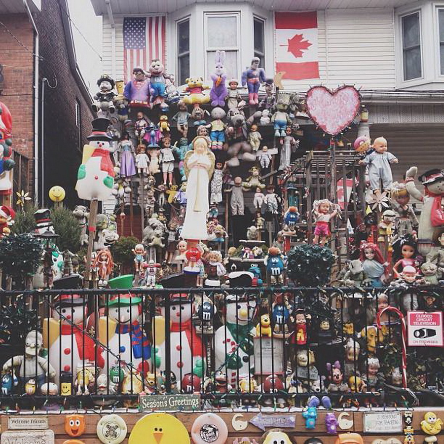 найдите Момо, пес играть в прятки, незаметный пес, Эндрю Кнаппа, Andrew Knapp