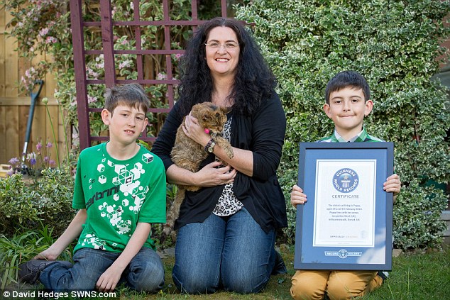 Поппи кошка, Poppy, самая старая кошка в мире, книга рекордов Гиннеса