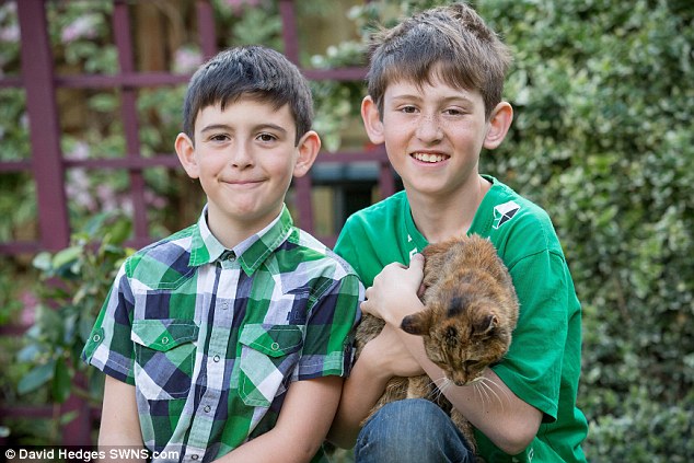 Поппи кошка, Poppy, самая старая кошка в мире, книга рекордов Гиннеса