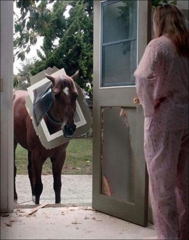 смешные ситуации люда, пошло не по плану, провалы смешные фото