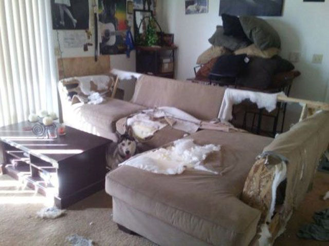 смешные ситуации люда, пошло не по плану, провалы смешные фото