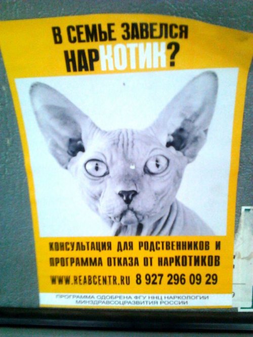 смешные надписи, объявления, маразмы