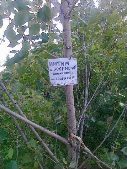 смешные надписи, объявления, маразмы