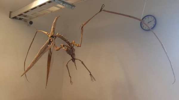 Невообразимые скульптуры из обычного картона от Кай-Сян Хонга скульптуры из картона, годзилла из картона, картон железный человек, Кай-Сян Хонг, Kai-Xiang Xhong