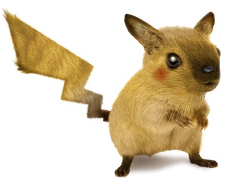 Покемоны в реальности, покемоны в жизни, реальные покемоны, Стивен Лефкурт, Steven Lefcourt