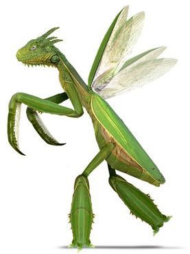 Покемоны в реальности, покемоны в жизни, реальные покемоны, Стивен Лефкурт, Steven Lefcourt