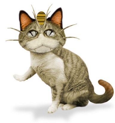 Покемоны в реальности, покемоны в жизни, реальные покемоны, Стивен Лефкурт, Steven Lefcourt