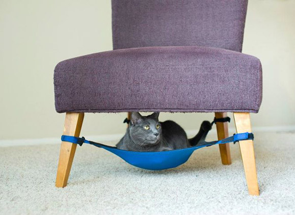 гаджеты для дома, кухонные гаджеты, идеи для дома