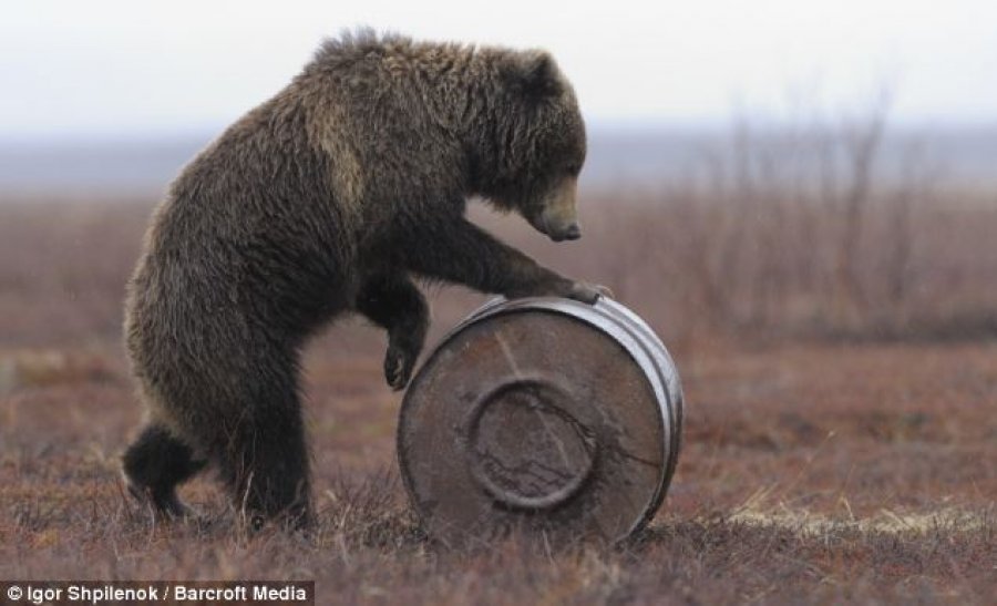 Альманах познавательных фактов обо всём на свете. Часть 24 познавательные факты обо всём на свете, спорим вы не знали