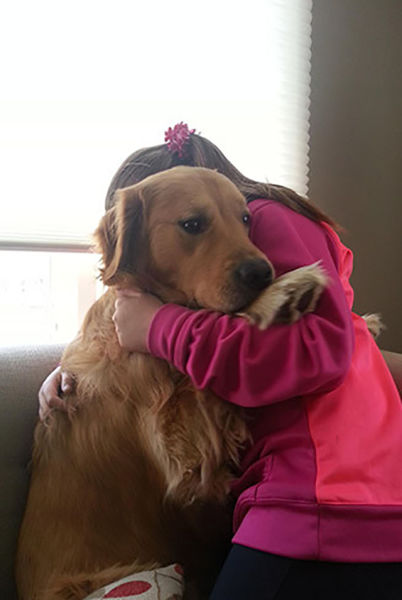 животные у ветеринара, кошка собака боится ветеринара, спрятался у ветеринара